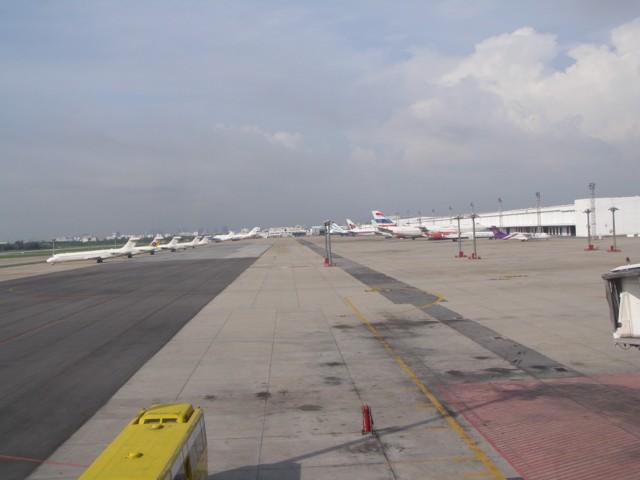 P5100039.JPG